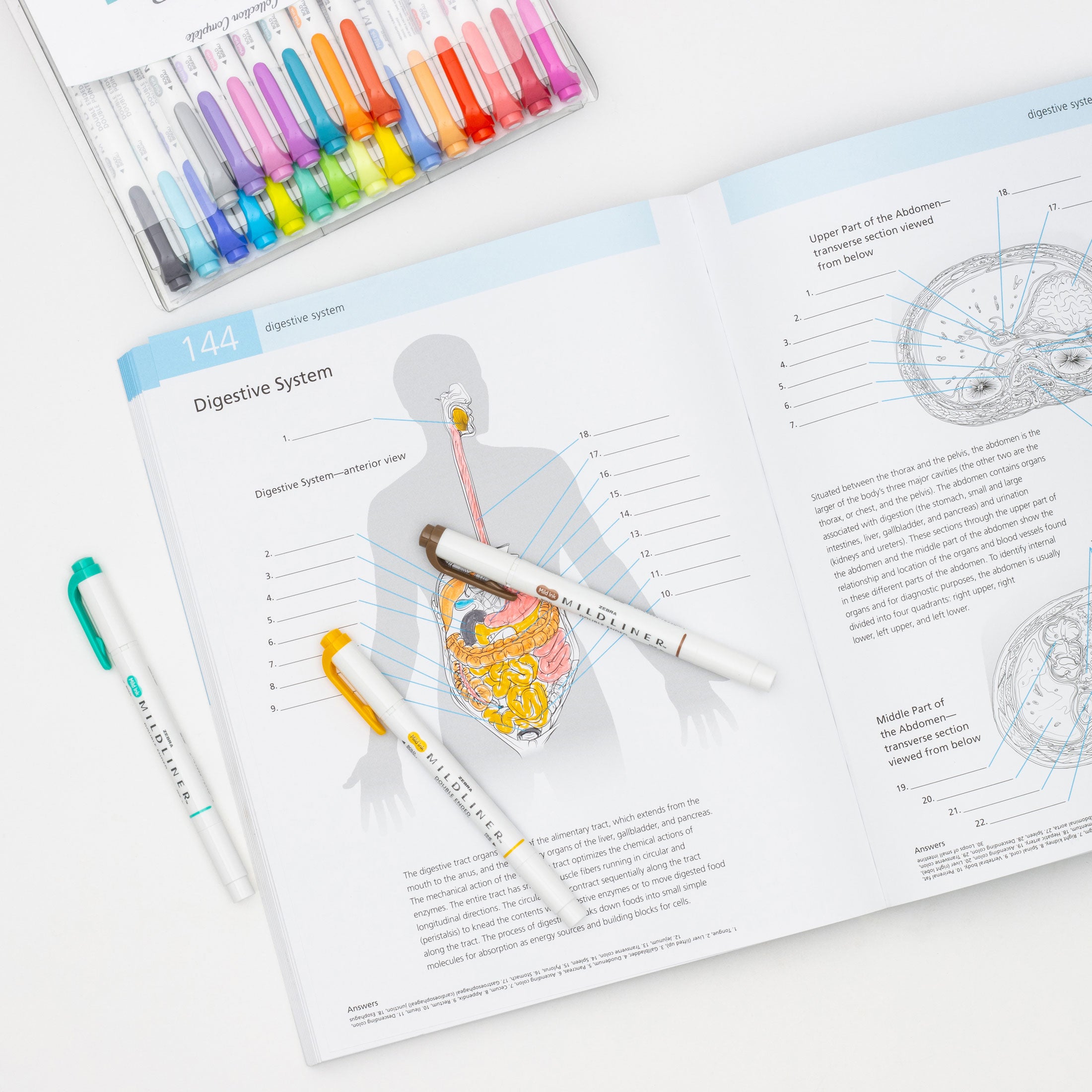 78125_5_f1ea6276-7623-4255-923d-3eed3d7f8e6a