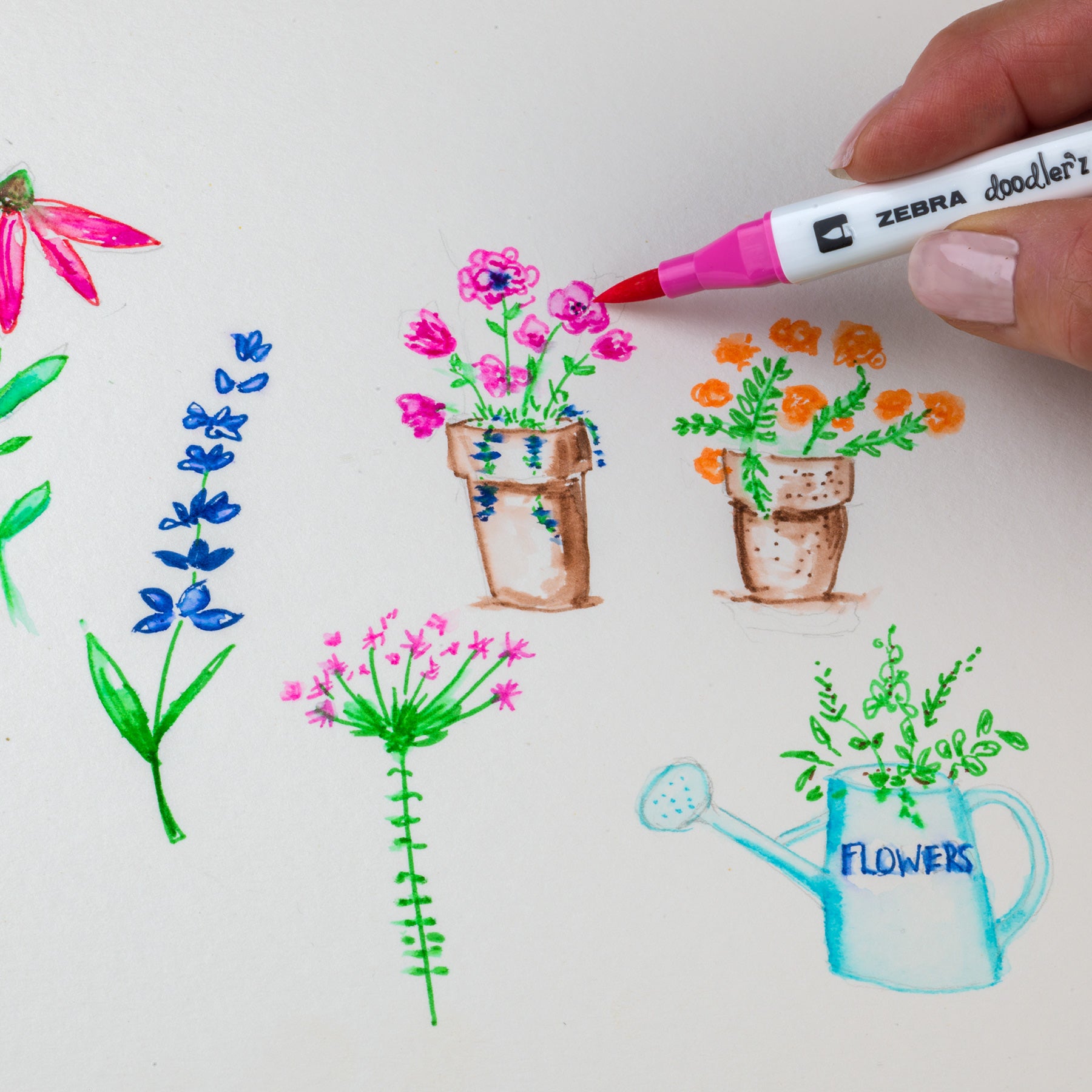 Doodlerz_Brush_Zebra-watercolor-pen_01_doodle